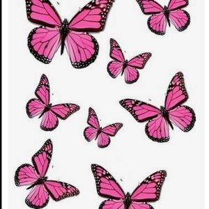 Meet your Posher, Cali